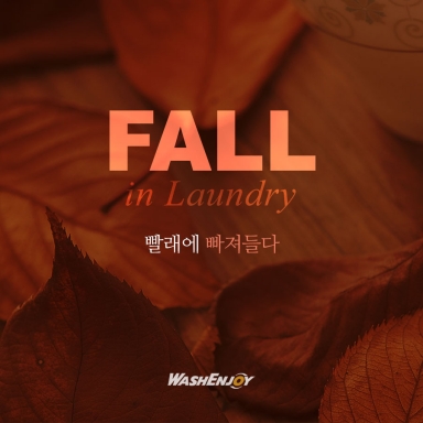 Fall in Laundry_1