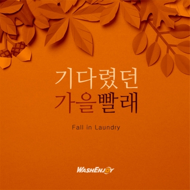 Fall in Laundry_2