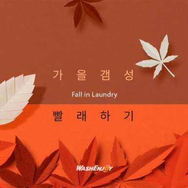 Fall in Laundry_3